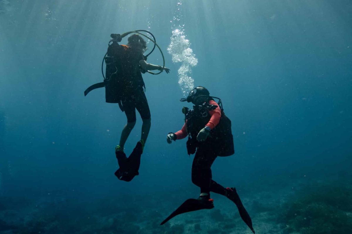 Ervaar een serene en avontuurlijke onderwaterwereld met "1 tank duik inclusief uitrusting en tanks - Westkust (Bonaire)" terwijl u zonovergoten wateren verkent en de oceaanbodem ontdekt tijdens uw scubaduik.