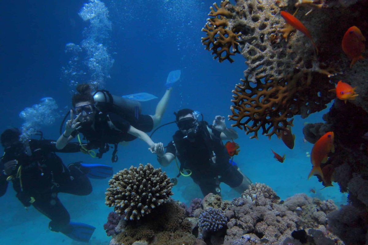 Cuatro buceadores exploran las claras aguas azules de Bonaire durante la ruta "Visita las Cuevas y 1 Inmersión en Tanque". Nadan entre vibrantes arrecifes de coral y peces naranjas. Dos buceadores se cogen de la mano, mientras los demás siguen entre las burbujas y la hermosa vida marina.
