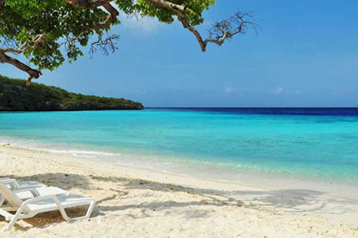 Ontspan op het strand tijdens je Snorkel en strandavontuur (Curaçao), met witte loungestoelen onder een schaduwrijke boom, uitkijkend over turquoise wateren en groene heuvels onder een helderblauwe hemel.