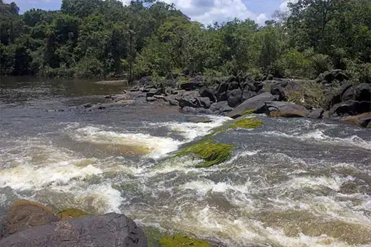 Suriname-Amatopo-6