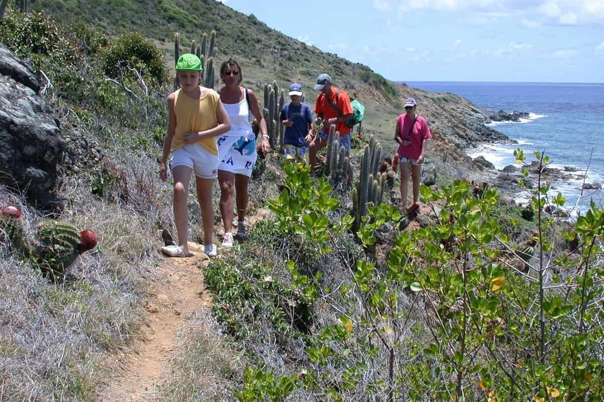 Un grupo recorre el sendero costero rodeado de cactus y arbustos, con colinas a la izquierda y el mar a la derecha, durante la Excursión a pie por la costa de Bahía Guana (San Martín), bajo un cielo parcialmente nublado.